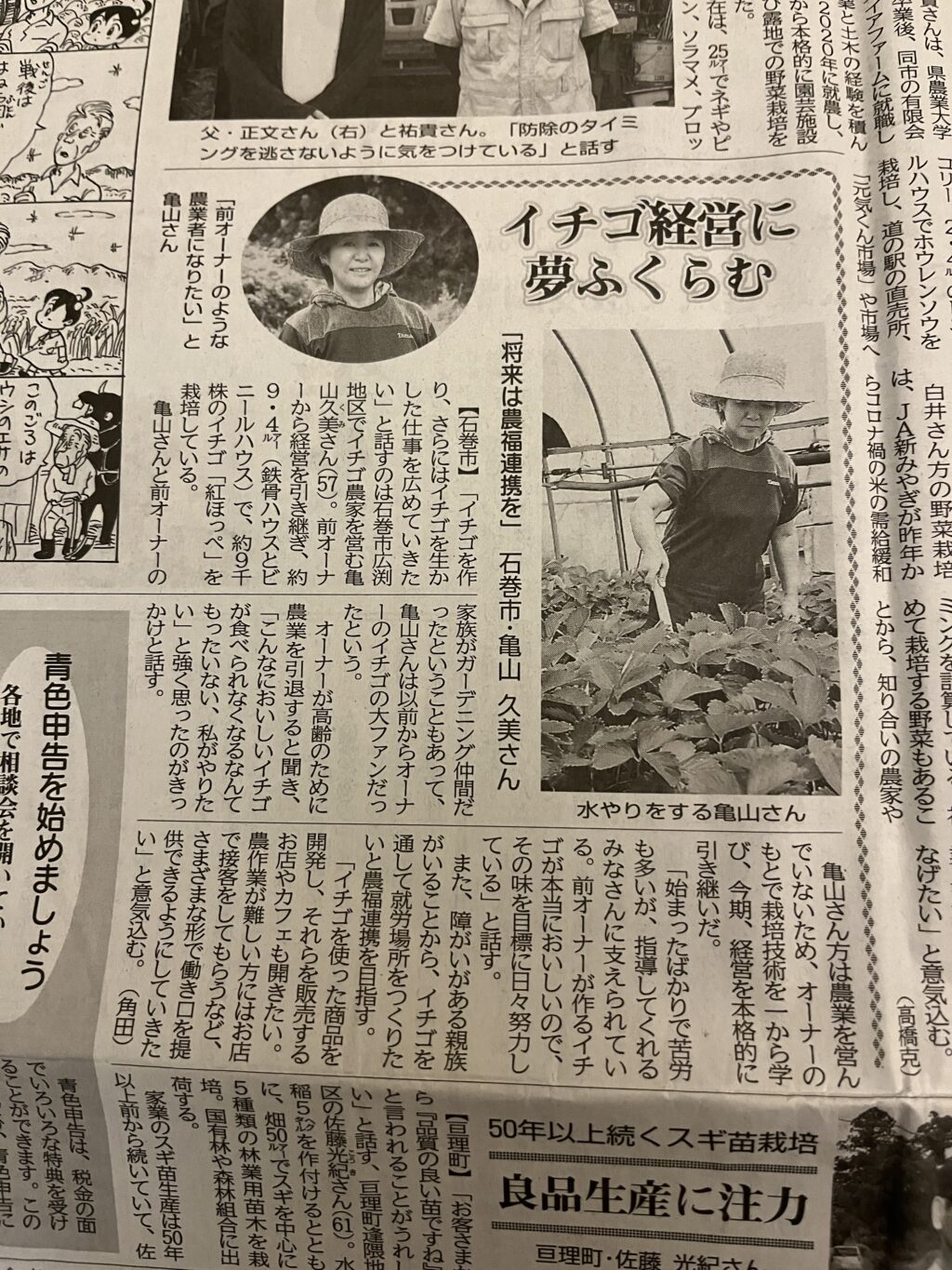 農業共済新聞さんに「イチゴ経営に夢ふくらむ」